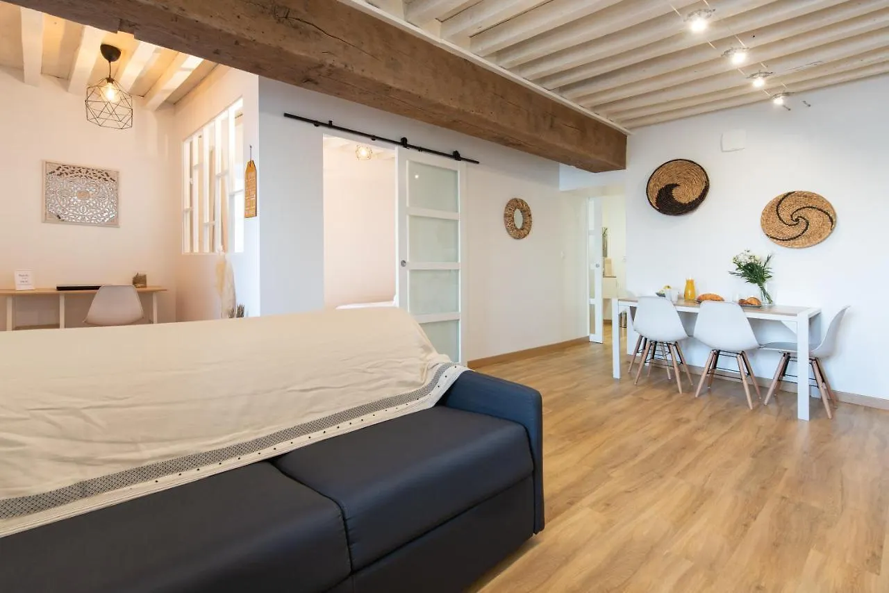 Appartement Ambiance bohème à Roanne