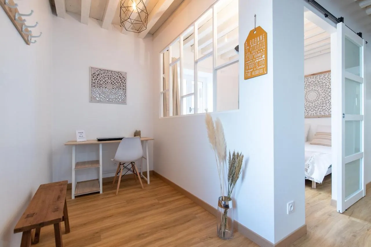 Appartement Ambiance bohème à Roanne France